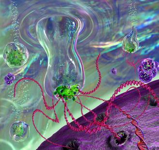 Illustration sur l'immunothérapie montrant un Récepteur d'Antigène Chimérique, molécule artificielle d'un lymphocyte T.