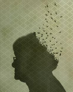 Les troubles de la mémoire peuvent concerner d'autres maladies neurodégénératives